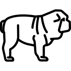 Shar Pei