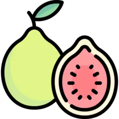 Guava