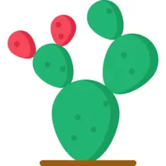 Prickly pear