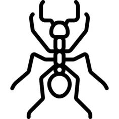 Ant