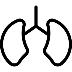 Lungs