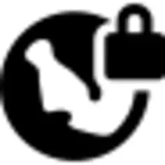 Virtual private network VPN