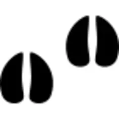 Hoofprints