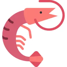 Shrimp
