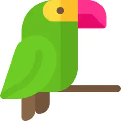 Parrot
