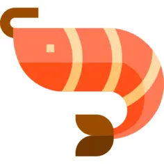 Shrimp