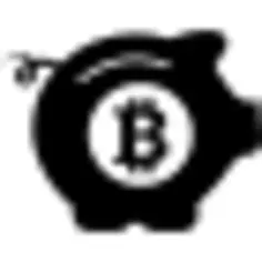 Bitcoin safe pig