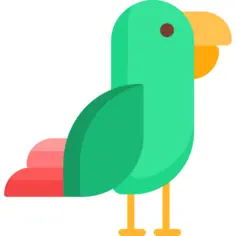 Parrot