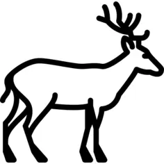 Deer