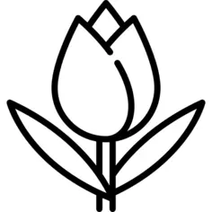 Tulip