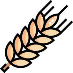 Wheat