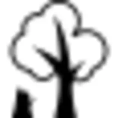 Logging
