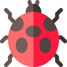 Ladybug