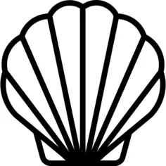 Seashell