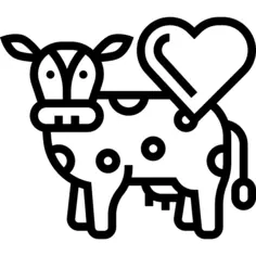Cow