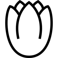 Tulip