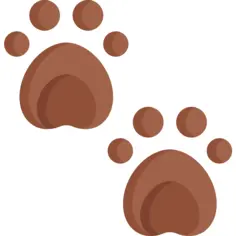 Pawprints