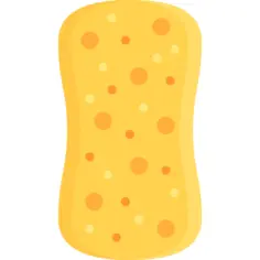 Sponge
