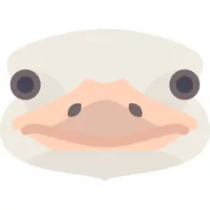 Ostrich