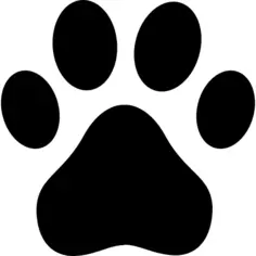 Paw black shape
