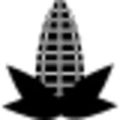 Corn cob