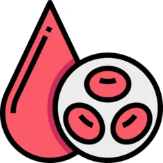 Blood