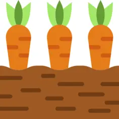 Carrots