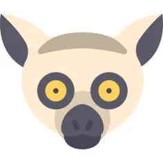 Lemur
