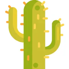 Cactus