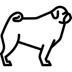 Pug