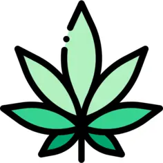 Cannabis