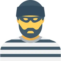 Burglar