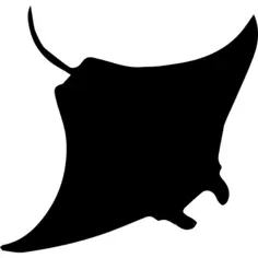 Manta Ray shape