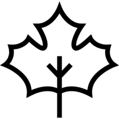 Maple leaf