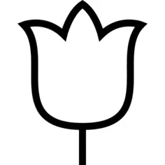 Tulip