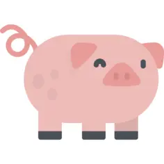 Pig