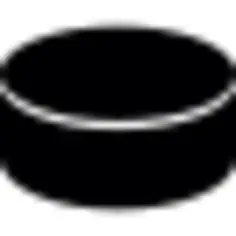 Ice Hockey Puck