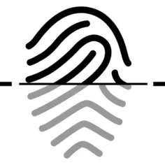 Fingerprint currently scanning