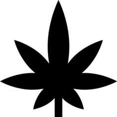 Cannabis
