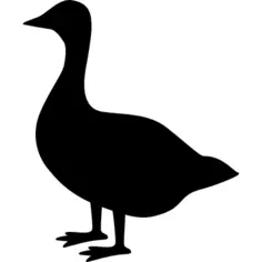 Goose