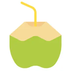 Coconut drink