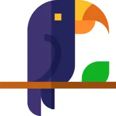 Toucan