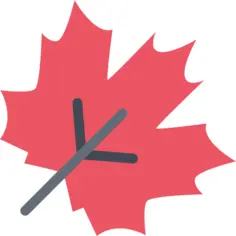 Maple leaf