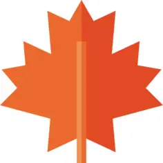 Maple leaf