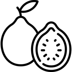Guava