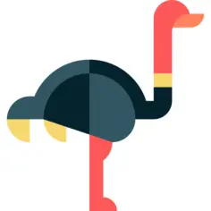 Ostrich