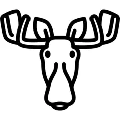 Moose Head