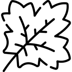 Maple leaf