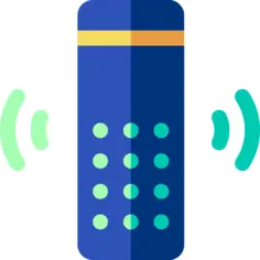 Voice assistant