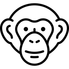 Chimpanzee Head